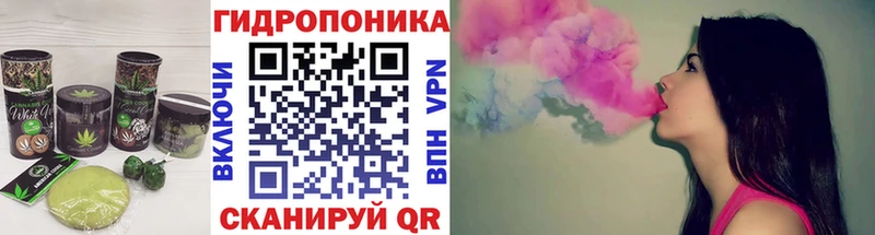 Canna-Cookies марихуана  Ессентуки 