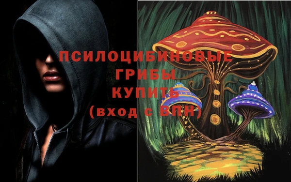 гашик Остров