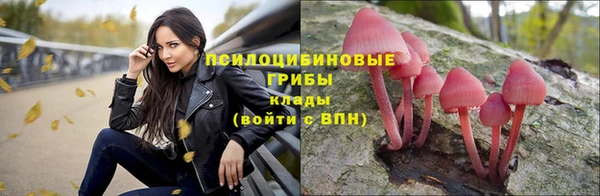 гашик Остров