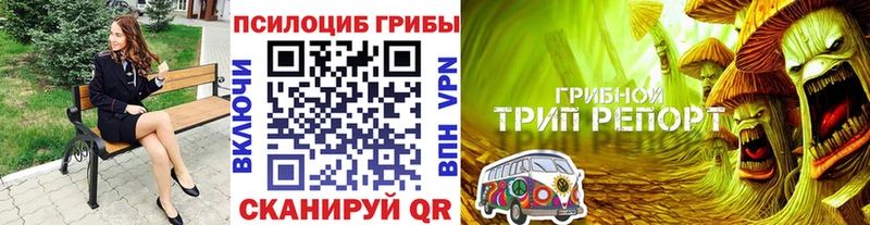 Псилоцибиновые грибы Psilocybine cubensis  Ессентуки 
