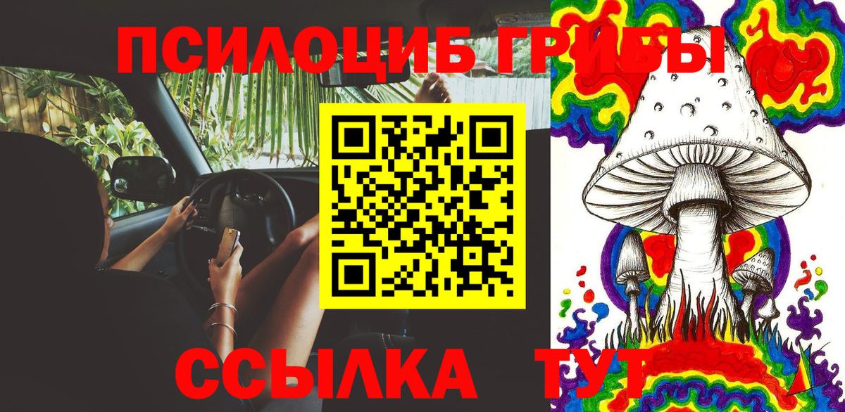 Галлюциногенные грибы Magic Shrooms Ессентуки