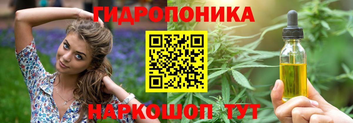 Конопля планчик  Ессентуки  Конопля гибрид  Конопля сатива 